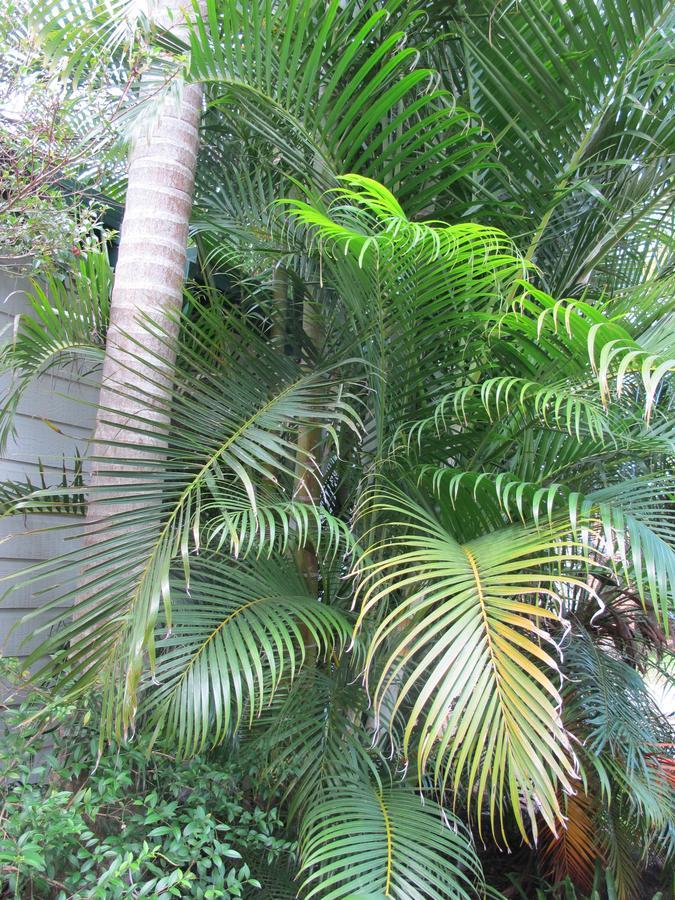 Melaleuca Caravan Park Port Macquarie Zewnętrze zdjęcie